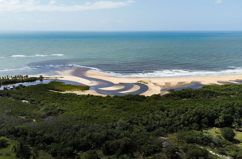 Baía dos Coqueiros - 40 lotes, pé na areia