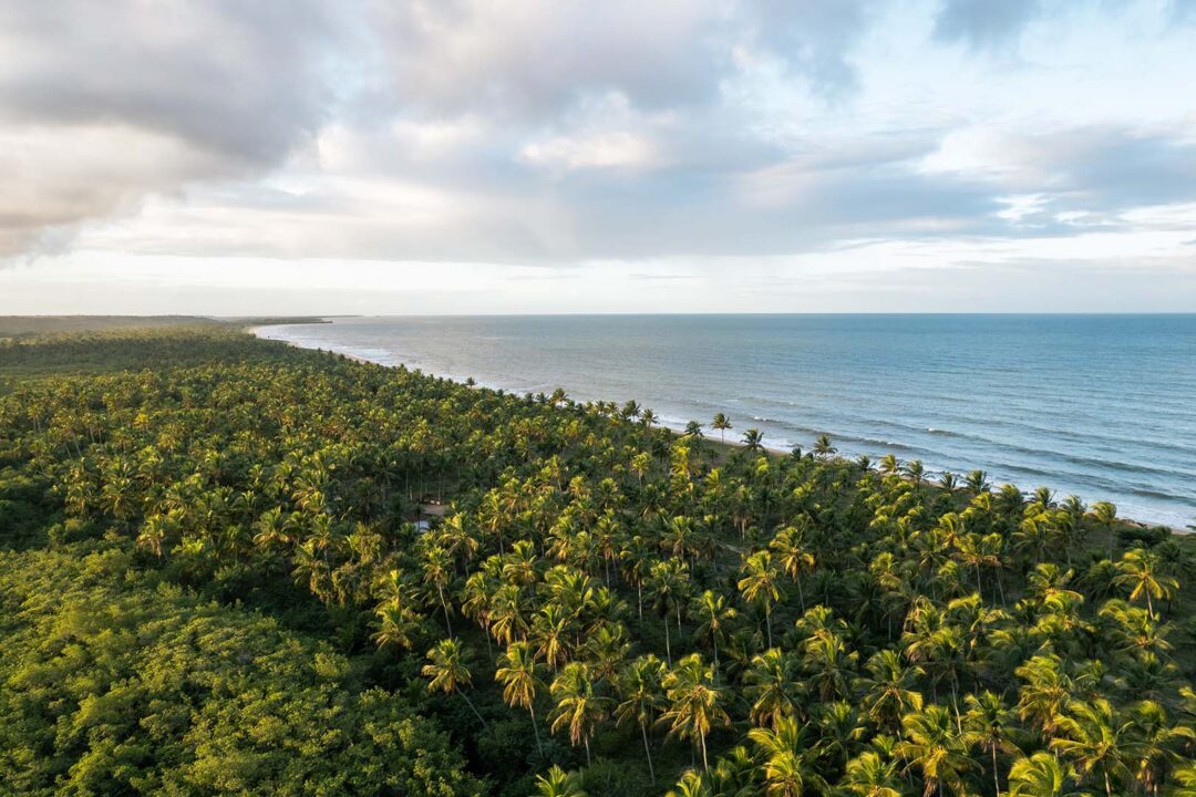 Baía dos Coqueiros - 40 lotes, pé na areia