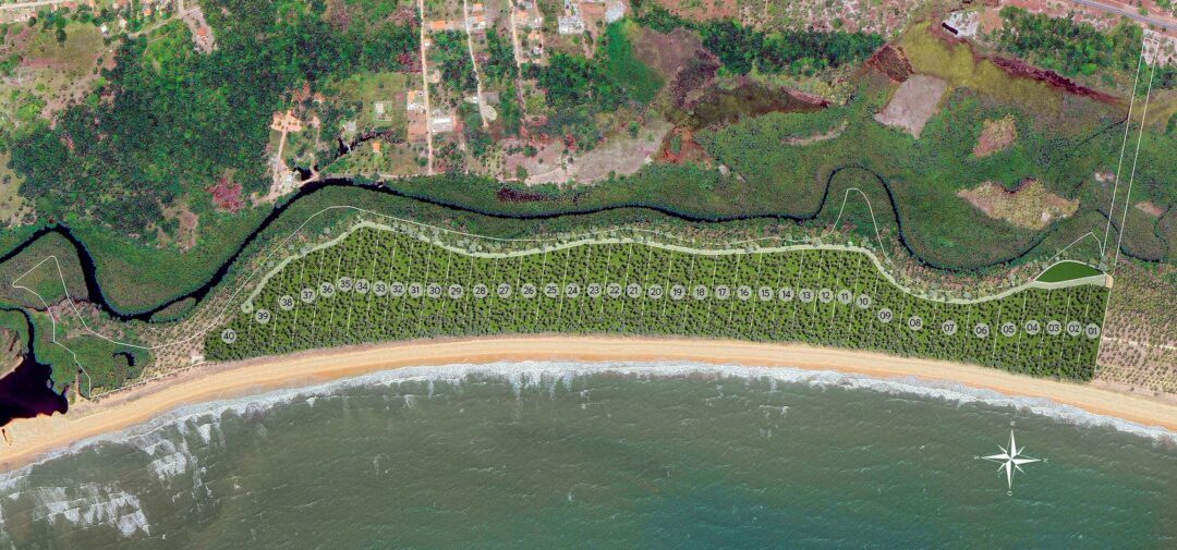 Baía dos Coqueiros - 40 lotes, pé na areia